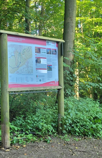 Wiehengebirge Schützenstraße Waldweg im Wiehengebirge mit einem Infokasten zur Orientierung, umgeben von dichtem Laubwerk.