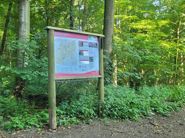 Wiehengebirge Schützenstraße Waldweg im Wiehengebirge mit einem Infokasten zur Orientierung, umgeben von dichtem Laubwerk.