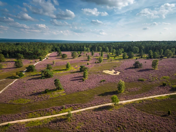 Prachtige rondwandeling door het Büsenbachtal in het noorden van de Lüneburger Heide