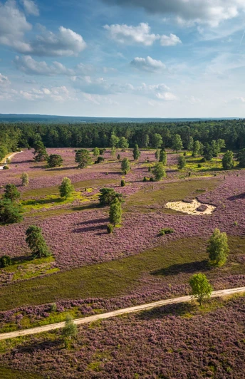 Wanderung durch das Büsenbachtal Toller Rundwanderweg durch das Büsenbachtal im Norden der Lüneburger HeideGreat circular hiking trail through the Büsenbach valley in the north of Lüneburg HeathFantastisk rundvandresti gennem Büsenbach-dalen i den nordlige del af Lüneburger HeidePrachtige rondwandeling door het Büsenbachtal in het noorden van de Lüneburger Heide