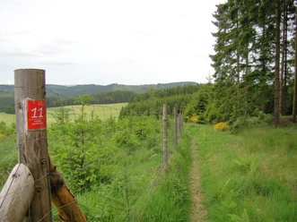 Feuer- und Flammeweg Wanderweg am Waldrand in Bergneustadt mit Fernblick über Felder und Hügel; Wegweiser "11".
