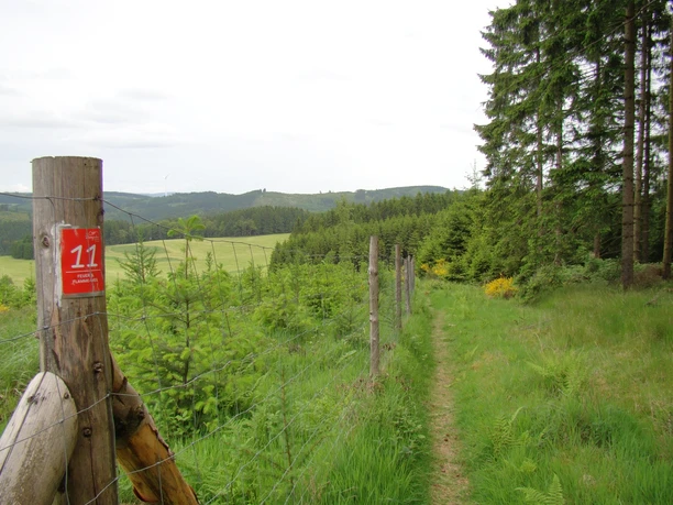 Feuer- und Flammeweg Wanderweg am Waldrand in Bergneustadt mit Fernblick über Felder und Hügel; Wegweiser "11".