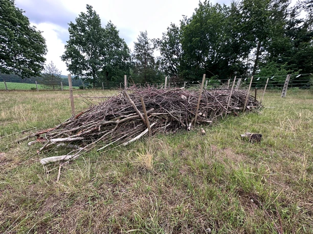 Eine Totholzhecke aus Ästen und Zweigen auf einer Wiese vor Bäumen.