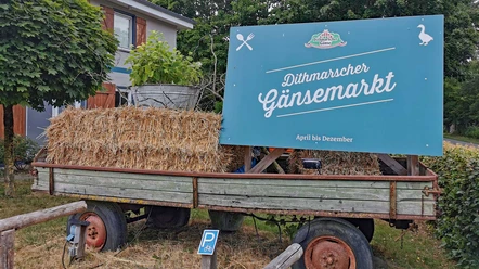 Gänsemarkt in Gudendorf Gänsemarkt in Gudendorf, außen