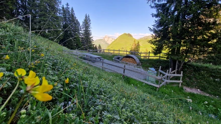Feuerstelle Klewenstock Schwalmisblick