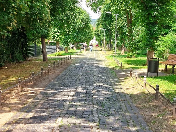 Bürgermeisterwall