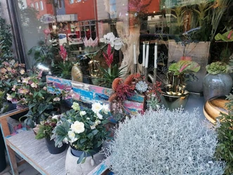 Blumen Loferer Bad Aibling