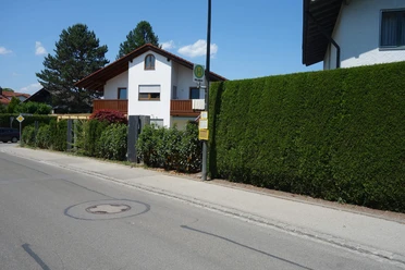 HS17-Moor-Express-Am-Breiten-Stoeg-Bad-Aibling.JPG