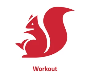 BSiP_2025_5_Workout.jpg