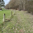 Wanderweg bei Muddenhagen Ein Wanderweg führt entlang eines Feldes mit Holzpfosten und Bäumen in einer ländlichen Kulisse.