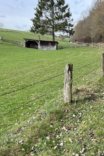 Wanderweg bei Muddenhagen Ein Wanderweg führt entlang eines Feldes mit Holzpfosten und Bäumen in einer ländlichen Kulisse.