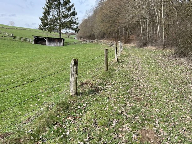 Wanderweg bei Muddenhagen Ein Wanderweg führt entlang eines Feldes mit Holzpfosten und Bäumen in einer ländlichen Kulisse.