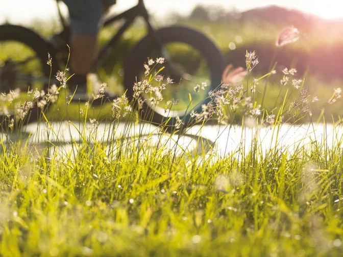 Radrundtour Fahrrad in der Abendsonne vor einem Feld