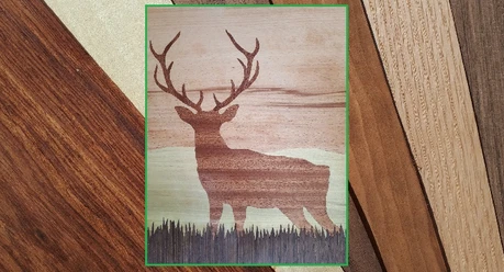 Hirsch-furnierkunst.de.jpg