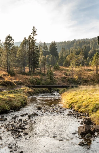 Moorlandschaft Langis-Glaubenberg
