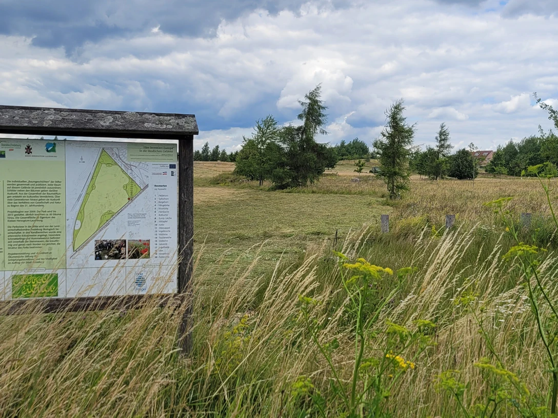 Baumpark Ratzeburg_1980x1080_Silvana Dust_20230706 (4).jpg Der Baumpark Ratzeburg. An den Eingängen stehen Schilder zu Bepflanzung und Entstehung