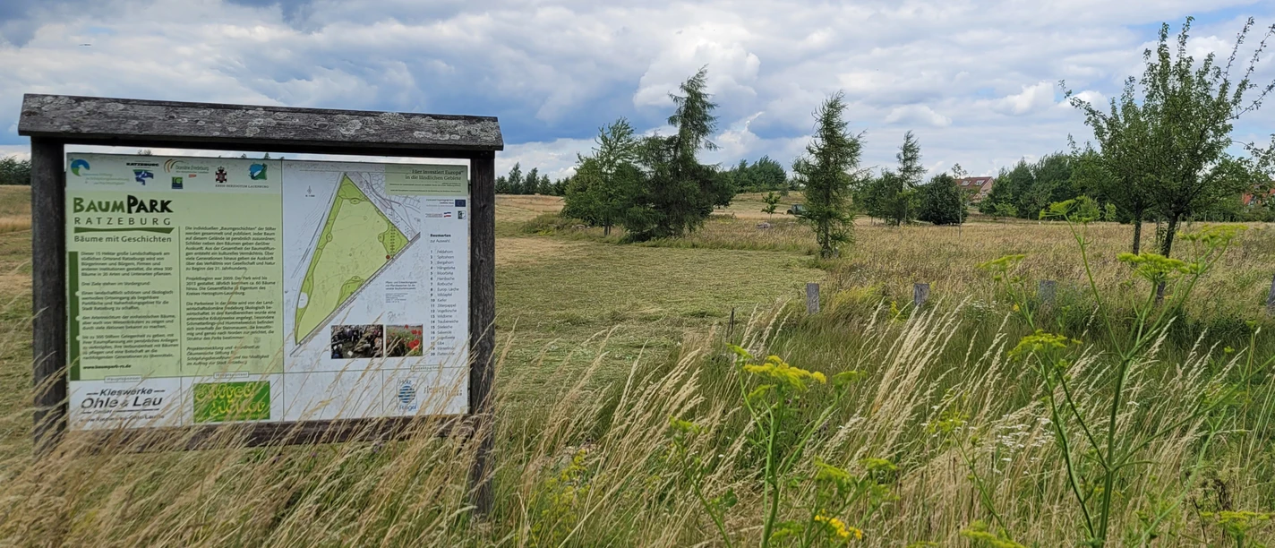 Baumpark Ratzeburg_1980x1080_Silvana Dust_20230706 (4).jpg Der Baumpark Ratzeburg. An den Eingängen stehen Schilder zu Bepflanzung und Entstehung