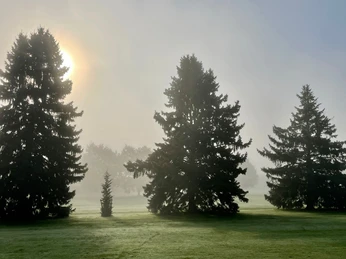 Golfclub Sieben-Berge Rheden