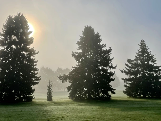Golfclub Sieben-Berge Rheden Golfclub Sieben-Berge Rheden