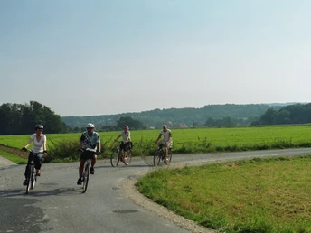 Vier Radfahrer fahren auf einer asphaltierten Straße durch eine grüne, ländliche Landschaft.