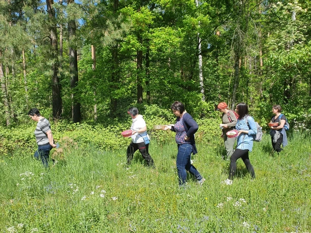 Kraeuterwanderung Sechs Personen spazieren an einem sonnigen Tag durch einen grünen Wald, jede mit einem Korb in der Hand.
