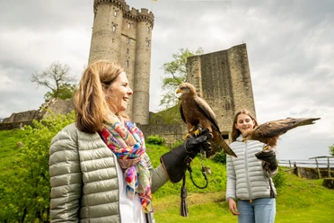 Greifvögel ganz nah, Adler- und Wolfspark