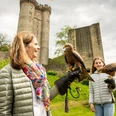 Greifvögel ganz nah, Adler- und Wolfspark