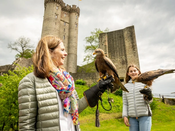 Greifvögel ganz nah, Adler- und Wolfspark
