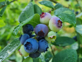 WhatsApp Image 2023-07-13 at 14.12.58 (1).jpeg