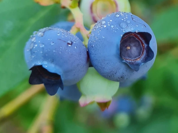 WhatsApp Image 2023-07-13 at 14.12.58 (3).jpeg