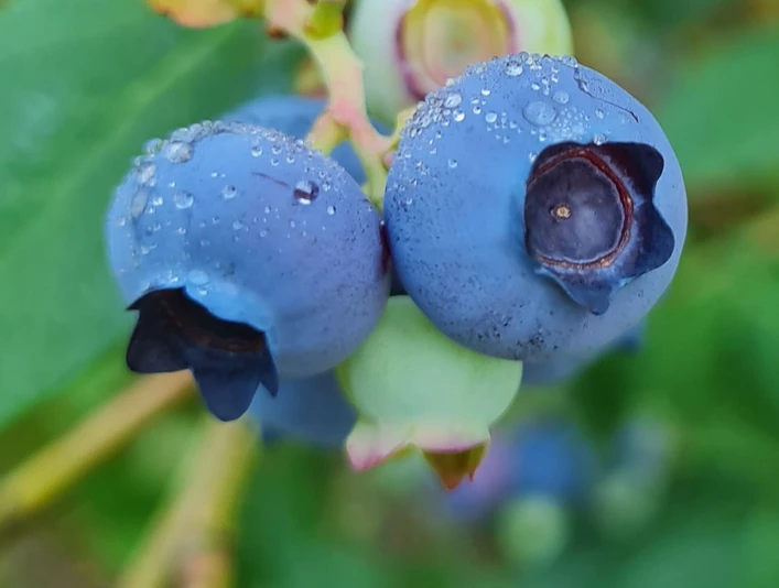 WhatsApp Image 2023-07-13 at 14.12.58 (3).jpeg