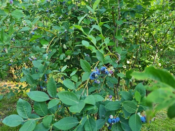 WhatsApp Image 2023-07-13 at 14.12.59 (2).jpeg