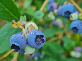 WhatsApp Image 2023-07-13 at 14.12.59.jpeg