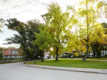 Erholungsoase mit historischen Fachwerkgebäuden umgeben von üppigem Grün und altem Baumbestand.Recreational oasis with historic half-timbered buildings surrounded by lush greenery and old trees.Rekreativ oase med historiske bindingsværksbygninger omgivet af frodige grønne områder og gamle træer.Recreatieve oase met historische vakwerkgebouwen omringd door weelderig groen en oude bomen.