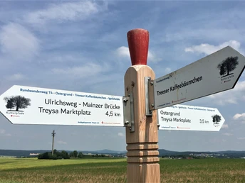 Treeser Kaffeebäumchen Wegweiser
