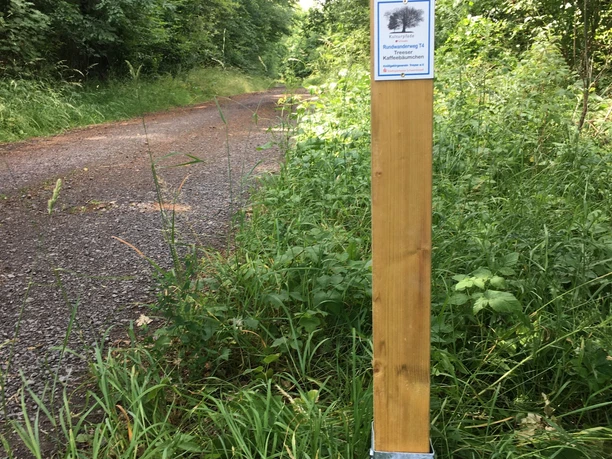 Treeser Kaffeebäumchen Wegmarkierung