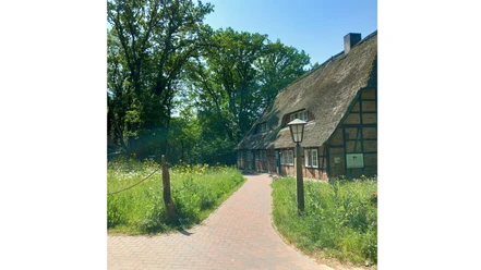 Bienenwelten_Naturinformationshaus_Niederhaverbeck.jpg Ein traditionelles Fachwerkhaus mit Reetdach liegt idyllisch in einer grünen, sommerlichen Landschaft.