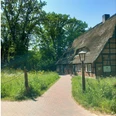 Bienenwelten_Naturinformationshaus_Niederhaverbeck.jpg Ein traditionelles Fachwerkhaus mit Reetdach liegt idyllisch in einer grünen, sommerlichen Landschaft.