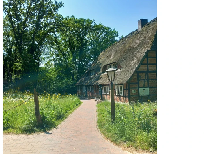 Bienenwelten_Naturinformationshaus_Niederhaverbeck.jpg Ein traditionelles Fachwerkhaus mit Reetdach liegt idyllisch in einer grünen, sommerlichen Landschaft.