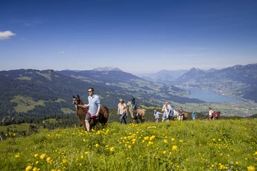 Lamatrekking mit Aussicht
