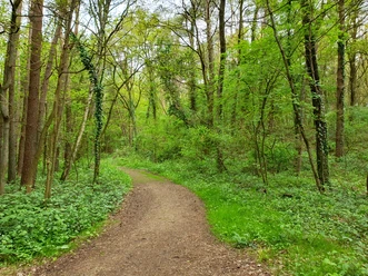 Hollesand_Naturschutzgebiet_Uplengen1.jpg