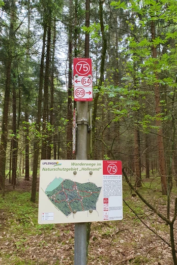 Hollesand_Naturschutzgebiet_Uplengen (6).jpg