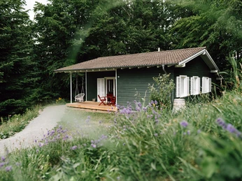 Harzverbunden Waldquartier - Bad Grund - Hausansicht Harzverbunden Waldquartier - Bad Grund - Hausansicht