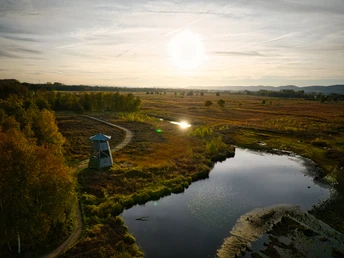 Ein Aussichtsturm im Moorgebiet von Hille bei Sonnenuntergang, umgeben von herbstlicher Natur und Wasserflächen.