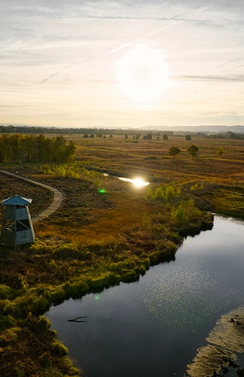 Ein Aussichtsturm im Moorgebiet von Hille bei Sonnenuntergang, umgeben von herbstlicher Natur und Wasserflächen.