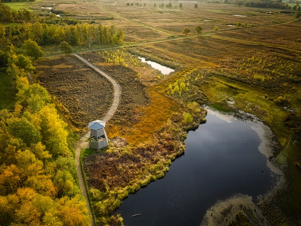 Großes Torfmoor-Teutoburger-Wald-Tourismus-J-Motzny-015.jpg Holzturm steht in herbstlicher Moorlandschaft, umgeben von Bäumen und Gewässern unter blauem Himmel.