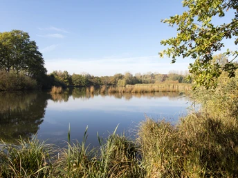 Pillepoppen_Rieselfelder_Ulrich Helweg.jpg