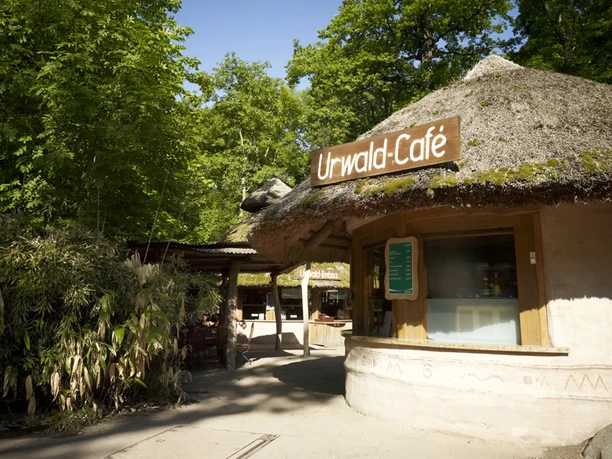 Tagungslocation Urwalddorf in der Eventlocation Zoo Leipzig | Leipzig Convention Bureau Tagungslocation Urwalddorf in der Eventlocation Zoo Leipzig - präsentiert vom Leipzig Convention Bureau