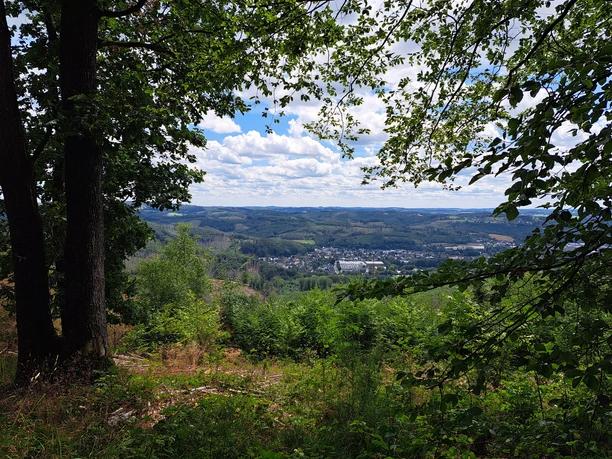 Streifzug Feuer-und Flammeweg Waldlichtung mit Ausblick auf das grüne Bergneustadt und sanfte Hügel unter blauem Himmel.
