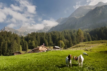 Hergiswil_Unterlauelen_Aussen_Sommer_Nidwalden Alpwirtschaft Unterlauelen Nidwalden
